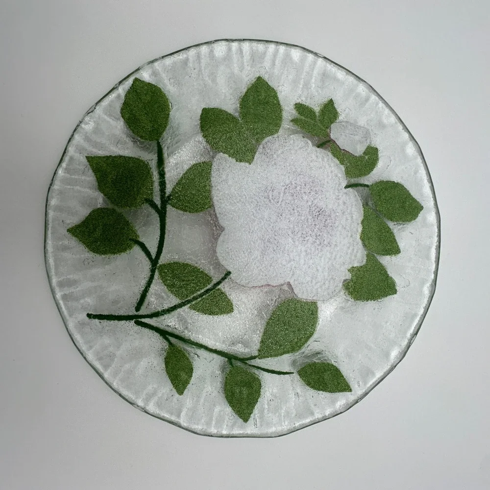 Sydenstricker glass plates